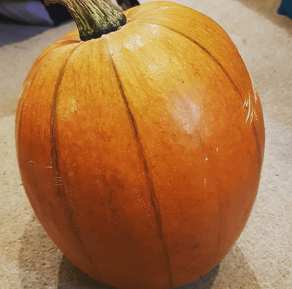 Giant Pumpkin