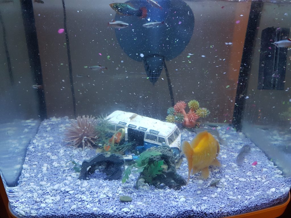 Cold Water Fish Tank / Aquarium with VW Campervan Ornament