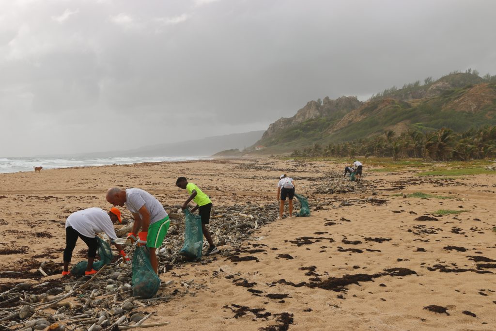 Protect our world's oceans by holding a beach clean up