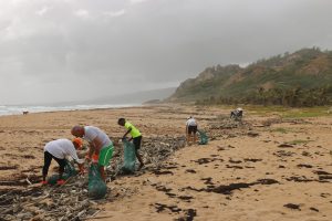 Beach clean up